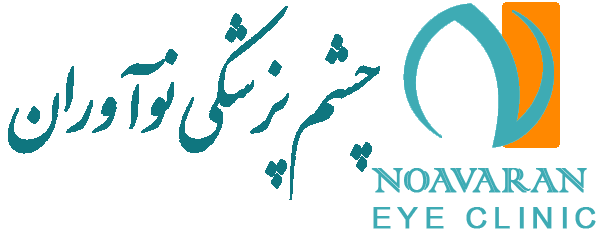 logo11
